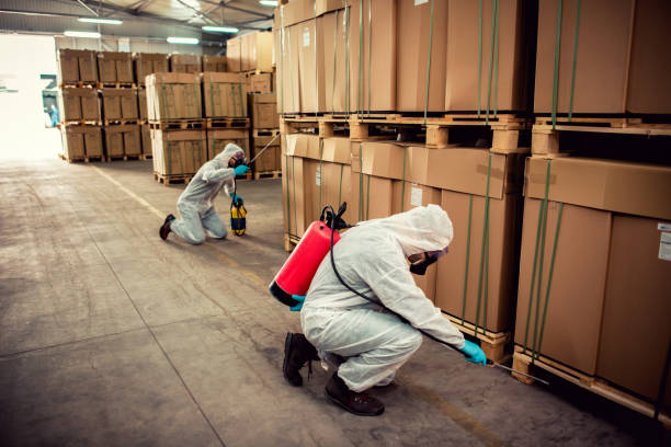 Best Termite Control Services  in Pratt, KS