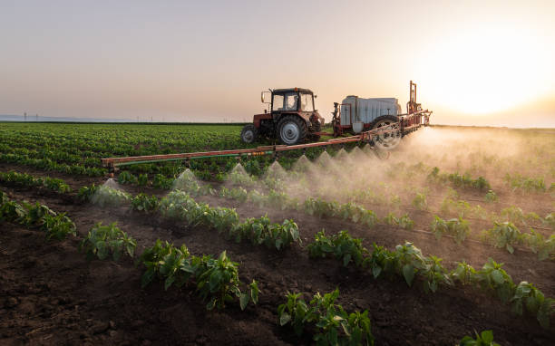 Best Commercial Pest Control Services  in Pratt, KS