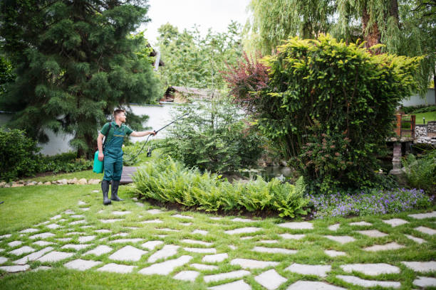 Best Pest Control for Homes  in Pratt, KS