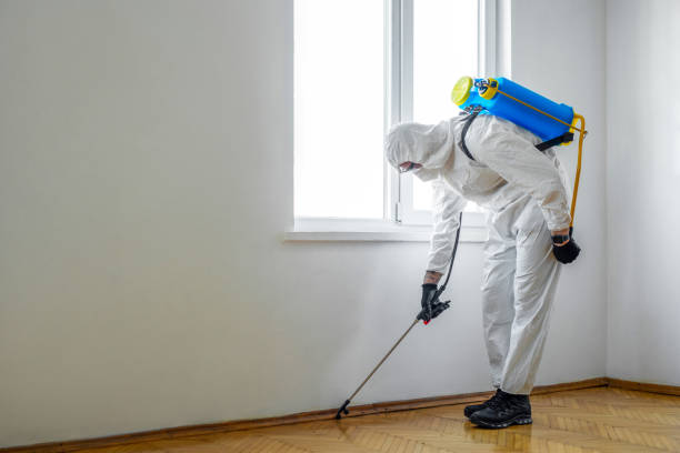 Best Rat Extermination Near Me  in Pratt, KS