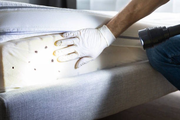 Best Affordable Pest Control Services  in Pratt, KS