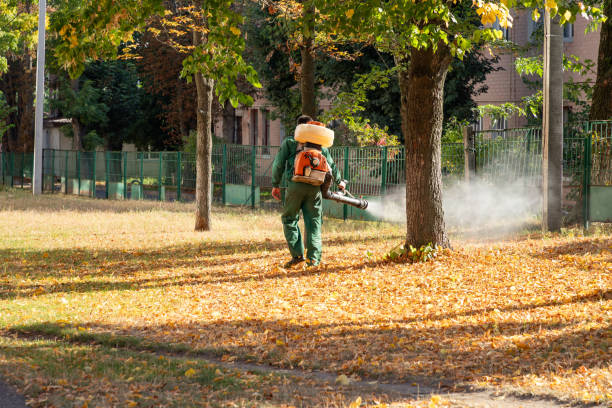 Best Exterminator Services  in Pratt, KS