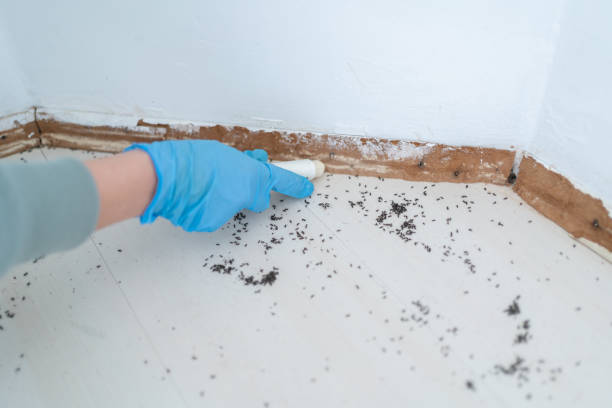 Best Pest Control Near Me  in Pratt, KS