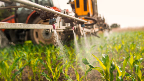 Best Mosquito Control Services  in Pratt, KS